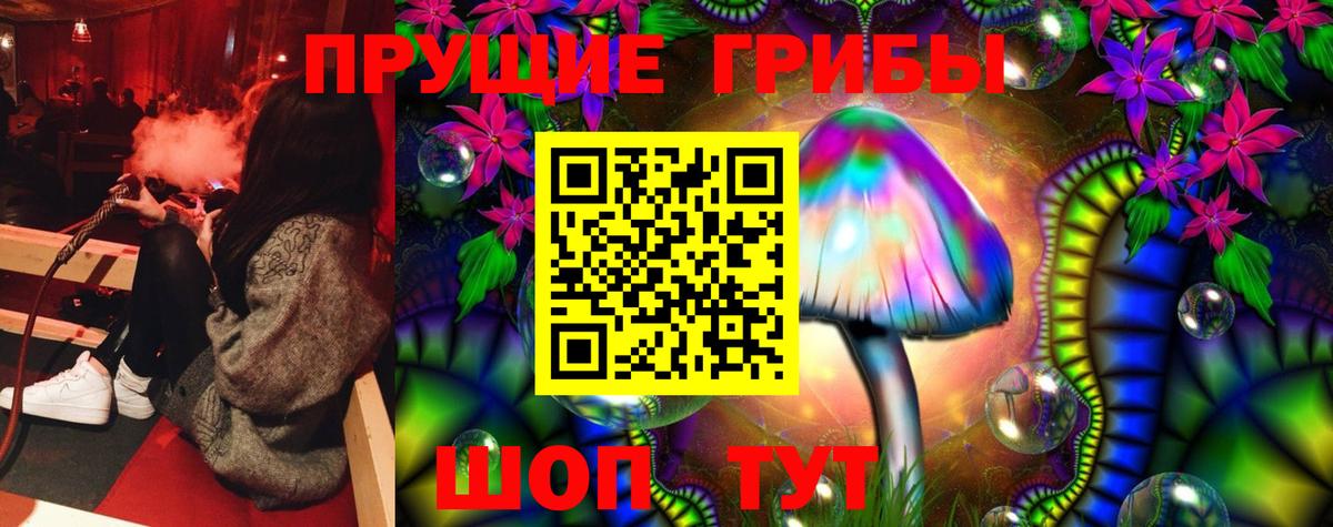 дарнет шоп  Псилоцибиновые грибы Psilocybe  Лениногорск  Вход с VPN  Псилоцибиновые грибы Cubensis 