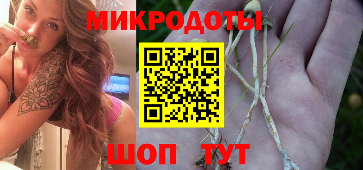 Галлюциногенные грибы Cubensis Лениногорск
